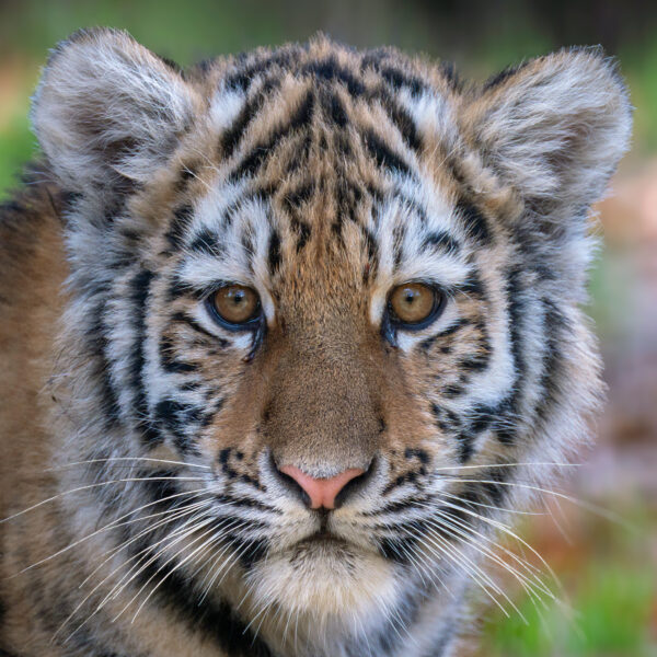 HAFO  Cursus Basis Fotografie - Afbeelding 2