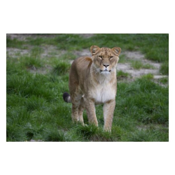 HAFO  Cursus Basis Fotografie - Afbeelding 5