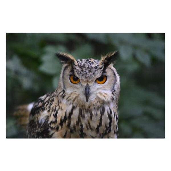 HAFO  Cursus Basis Fotografie - Afbeelding 4