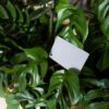 Caruba Digital Gray CARD DGC-1
