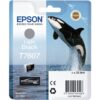Epson Inktpatroon T7607  Licht Zwart high capacity 25,9ml
