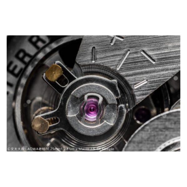 Laowa Venus 25mm f/2.8 2.5-5X Ultra-Macro Lens - Canon EF - Afbeelding 9