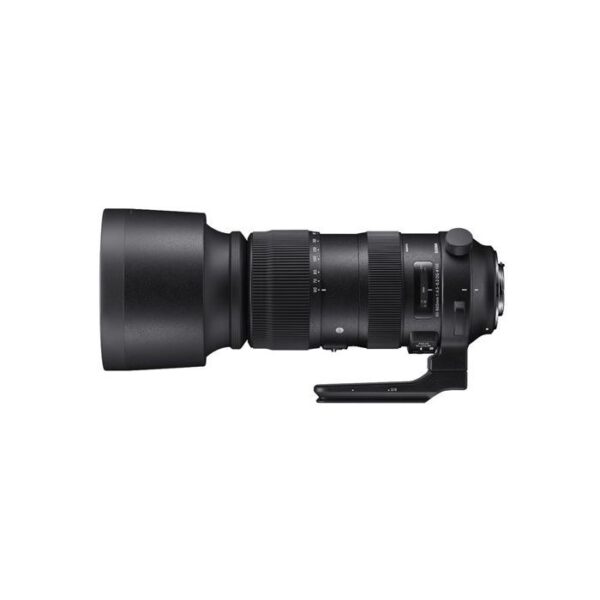 Sigma 60-600mm f4.5-6.3 DG OS HSM Sports Canon - Afbeelding 2