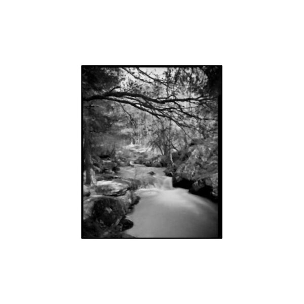 Bergger Pancro 400 120 - Afbeelding 7