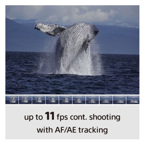 Sony A6100 Body - Afbeelding 11