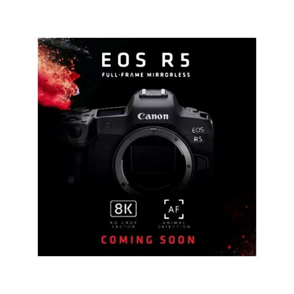 Canon EOS R5 + RF 50mm f1.8 STM - Afbeelding 13