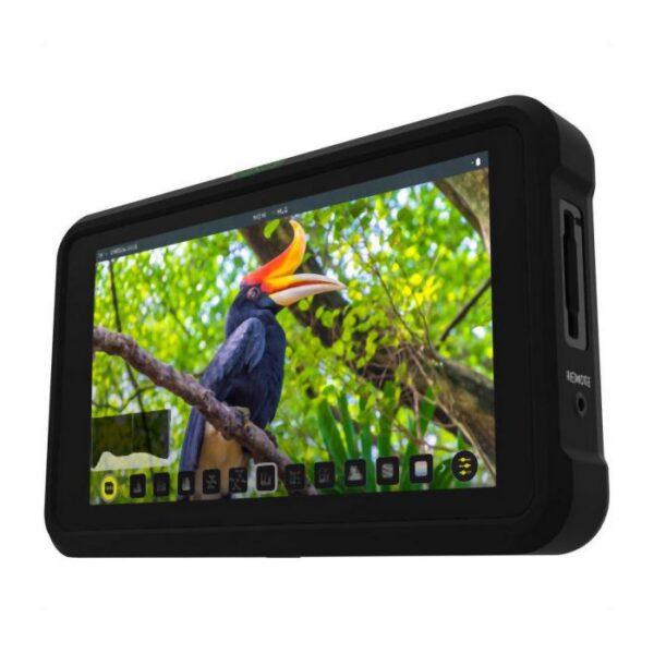 Atomos Shinobi 5 inch - Afbeelding 3