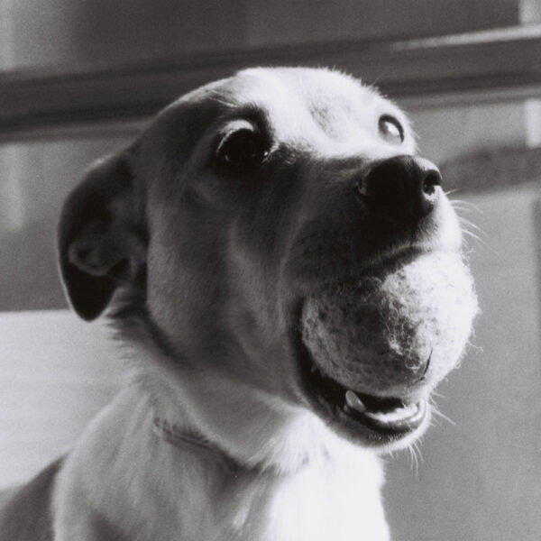 Lomography Berlin Kino B&W 400 2019 120 - Afbeelding 5