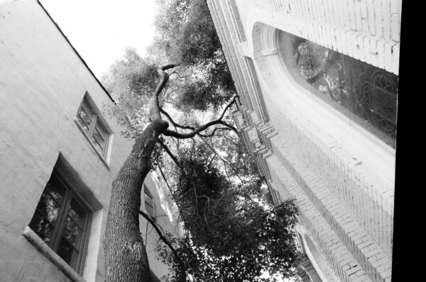 Lomography Berlin Kino B&W 400 2019 135-36 - Afbeelding 9