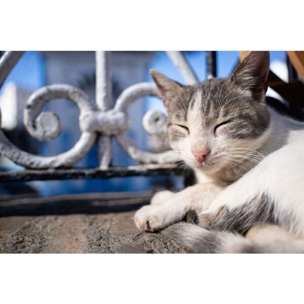 Tamron 28-200mm F/2.8-5.6 Di III RXD Sony FE - Afbeelding 5