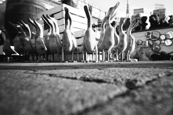 Lomography Simple Use Reloadable camera - Afbeelding 5