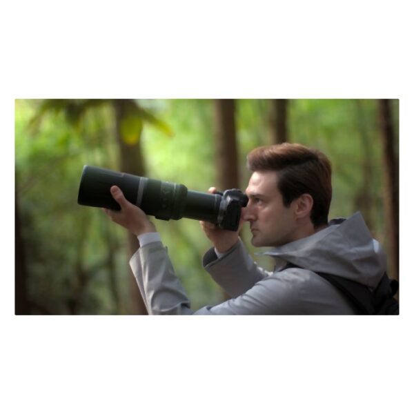 Canon RF 800mm F11 IS STM - Afbeelding 9