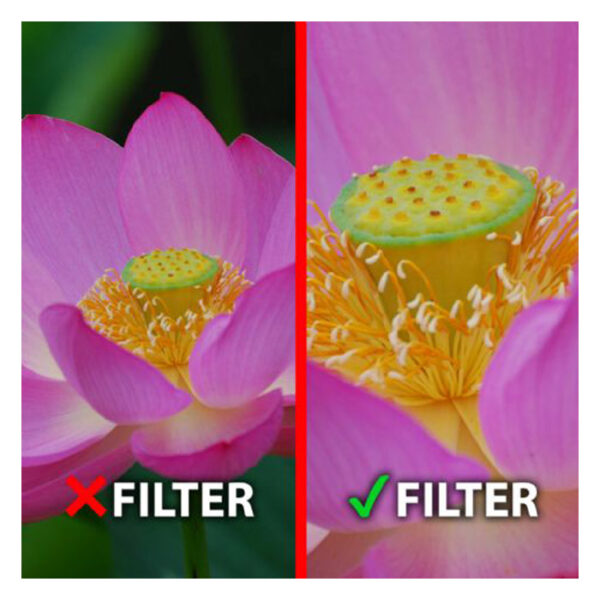 Marumi Filter DHG Macro Achro 200 + 5 49 mm - Afbeelding 2