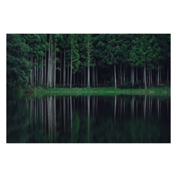 Tamron 17-70mm voor Sony FE - Afbeelding 5