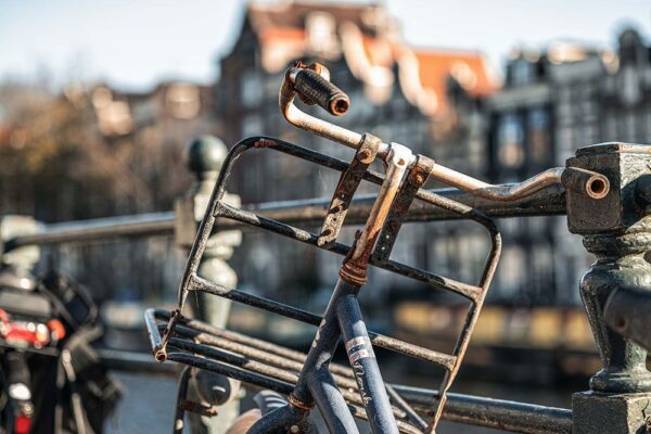 Sigma 65mm F2 DG DN Contemporary Sony E-mount - Afbeelding 8