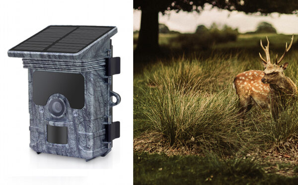 Redleaf RD7000 WiFi solar panel surveillance camera - Afbeelding 6