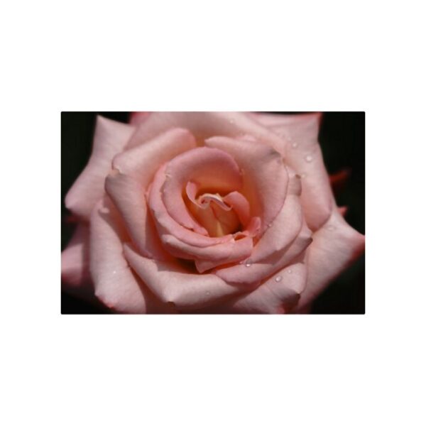 Sigma 150-600mm F5-6.3 DG DN OS (S) Sony E-mount - Afbeelding 7