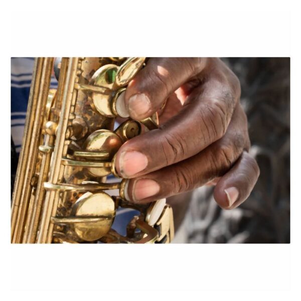 Sigma 18-50mm f/2.8 DC DN Contemporary Sony E-mount - Afbeelding 8