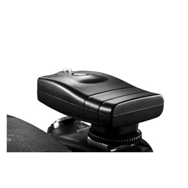 Falcon Eyes Zender RF-A2416-T voor RF-A2416 en RF-A2416-8 - Afbeelding 3