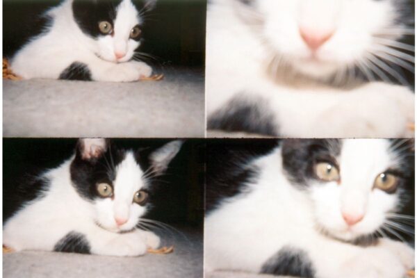 ActionSampler Transparant camera