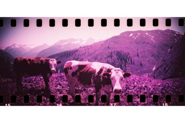 Sprocket Rocket Camera