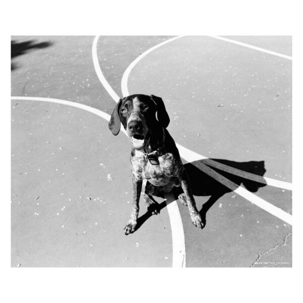 Cinestill BWxx 120mm - Afbeelding 5