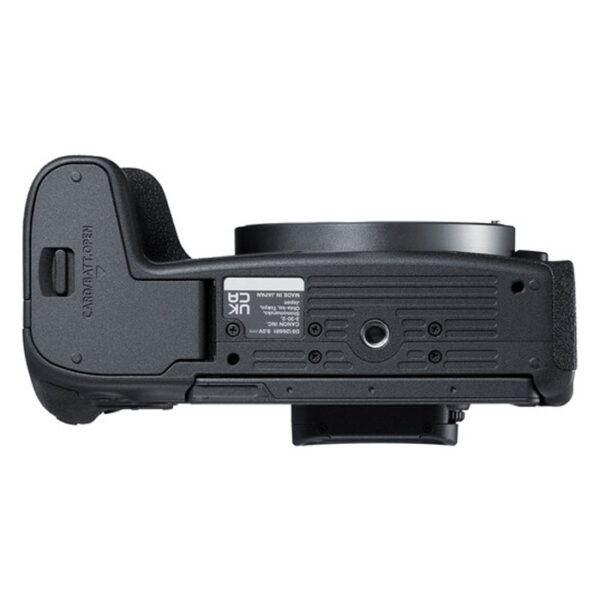 Canon EOS R8 + RF 24-50mm f/4.5-6.3 IS STM - Afbeelding 7