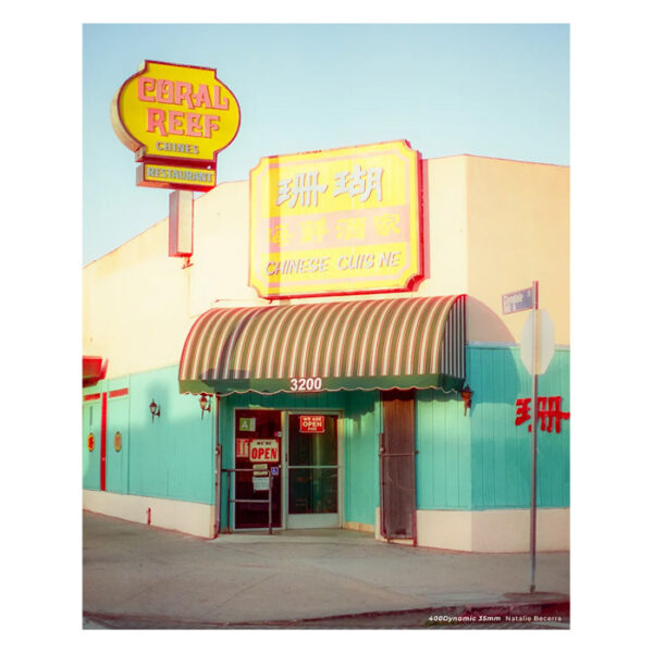 CineStill 400D 36/400 Dynamic Versatile Color Negative Film 135 - Afbeelding 2