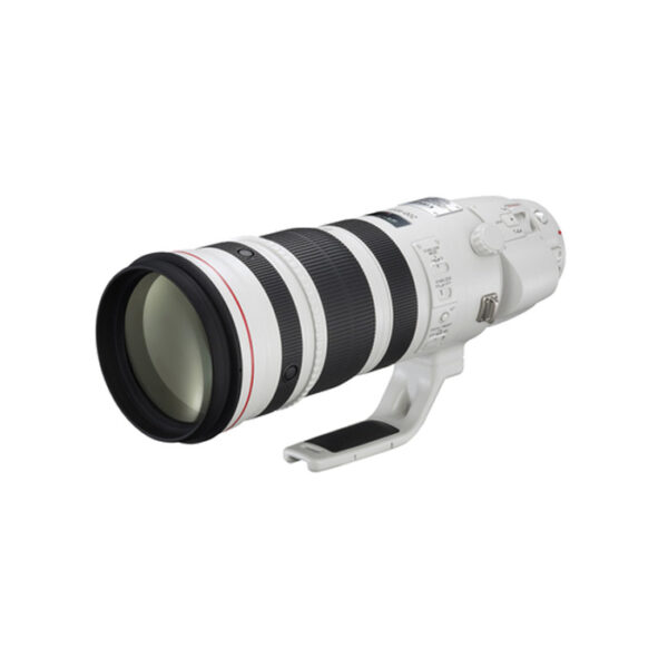 Canon EF 200-400mm f/4.0 L IS USM Ext 1.4X - Afbeelding 3