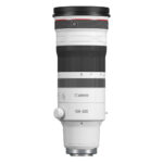 Canon RF 100-300mm F/2.8 L IS USM