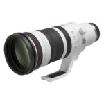 Canon RF 100-300mm F/2.8 L IS USM