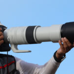 Canon RF 200-800mm F6.3-9 IS USM