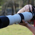 Canon RF 200-800mm F6.3-9 IS USM