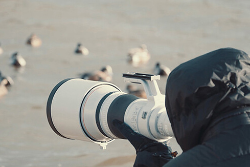 Canon RF 800mm f5.6 L IS USM