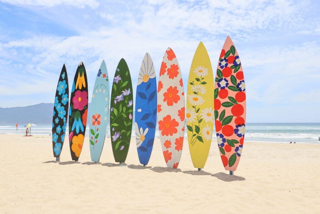 Canon RF-S 10-18mm f/4.5-6.3 IS STM