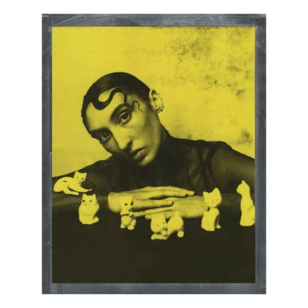 Polaroid Duochrome Film For 8x10 - Black & Yellow Edition - Afbeelding 3