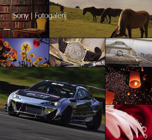 Sony FE 300 mm F2.8 GM OSS