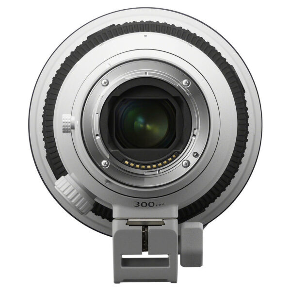 Sony FE 300mm f/2.8 GM OSS objectief + FE 2.0x Teleconverter - Afbeelding 9