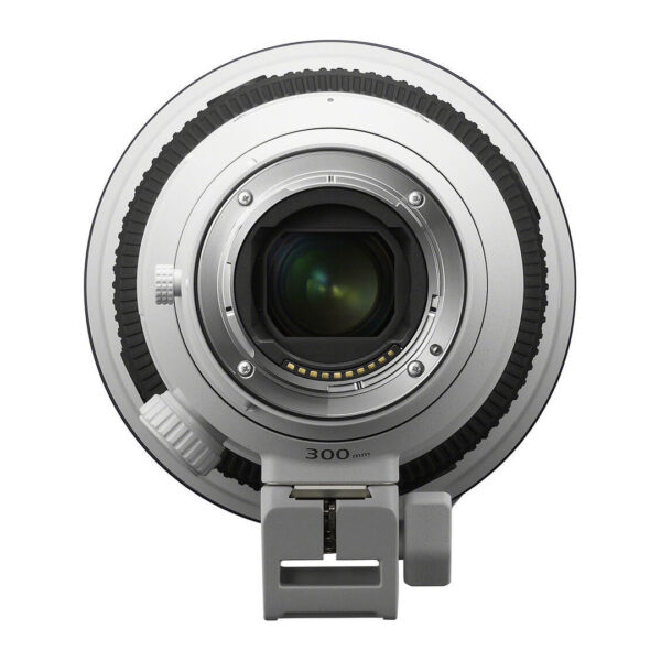 Sony FE 300mm f2.8 GM OSS objectief + FE 1.4x Teleconverter - Afbeelding 8