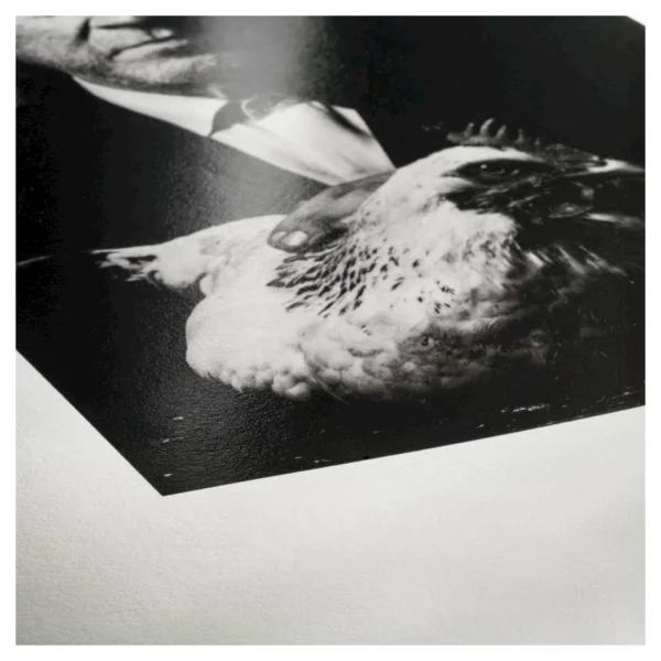 Hahnemuhle Glossy Fine Art, Photo Rag Baryta A4 25stk - Afbeelding 2