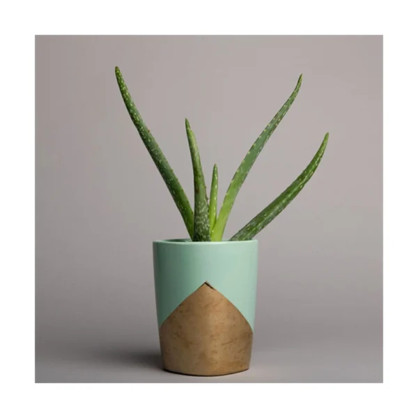 Superior Background Roll Slate Grey (NR 58) 1.35m X 11m - Afbeelding 2