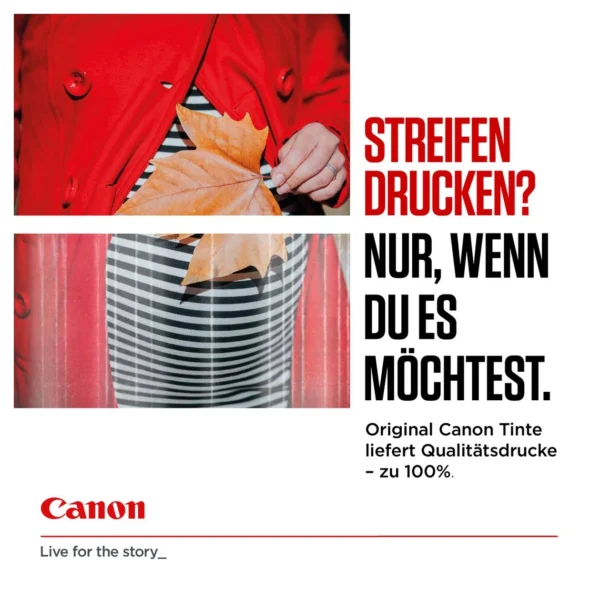 Canon PGI-580/CLI-581 PGBK/C/M/Y/BK Multipack - Afbeelding 2