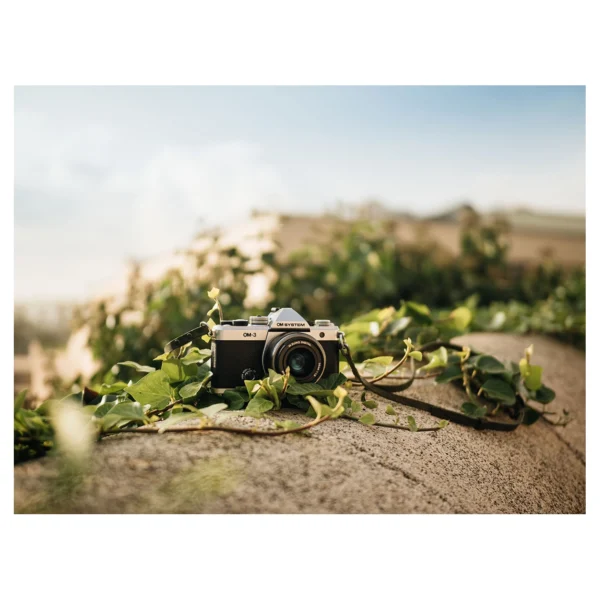 OM SYSTEM OM-3 Body Silver - Afbeelding 13