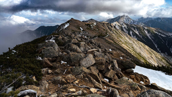 Sigma 24mm f/3.5 DG (C) Black SE - Afbeelding 5