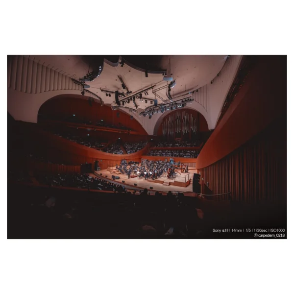 Samyang 14-24mm F2,8 Sony FE - Afbeelding 6