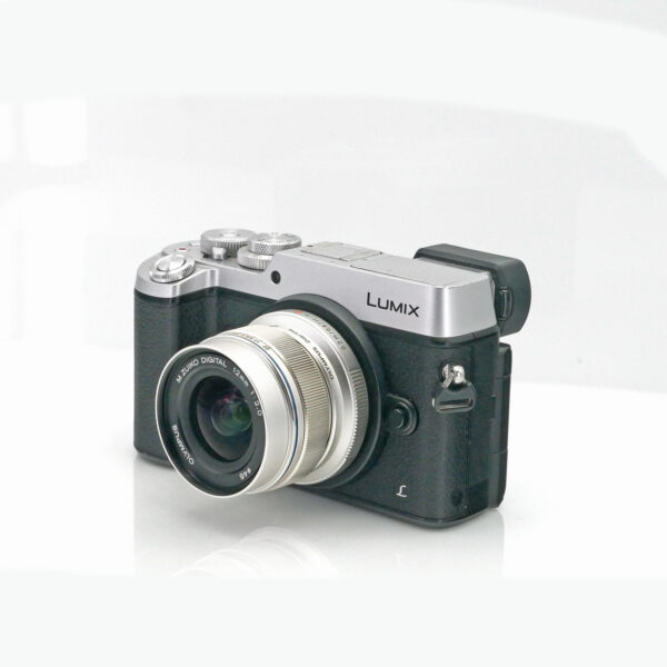 Lumix GX8 + 12mm f/2 ED MSC - Afbeelding 4