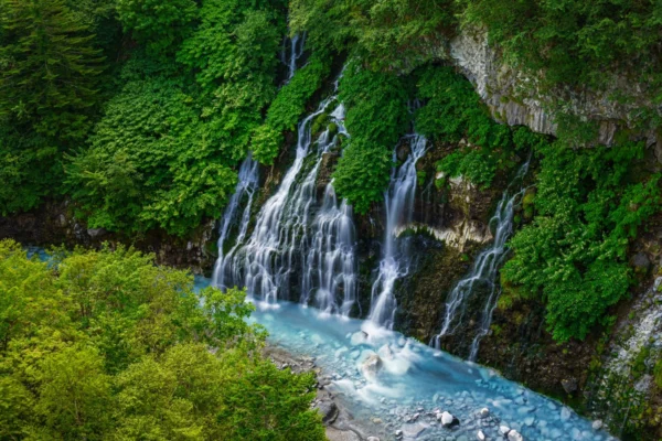 Sigma 24mm f/2.0 DG (C) Black SE - Afbeelding 5