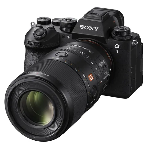 Sony SEL FE 100mm F2.8 Macro GM OSS Lens - Afbeelding 2