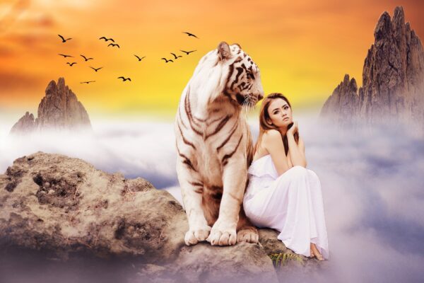 Photoshop voor beginners vervolgcursus - Afbeelding 3