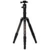 Benro Roadtrip Pro Carbon statief black *